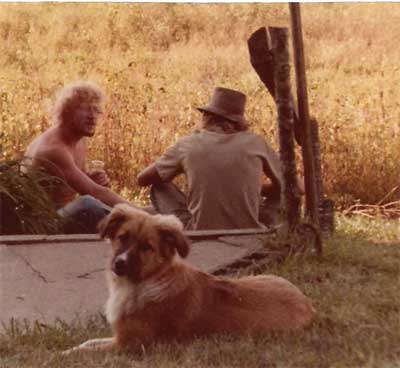 wheat field, two men, and a dog