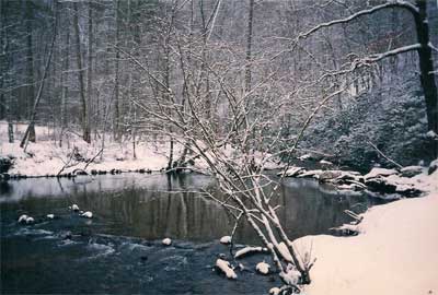 Trout Camp in the snow