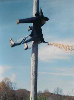 witch wrecked on telehone pole