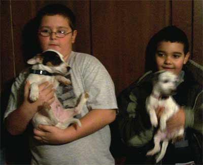two boys with pups