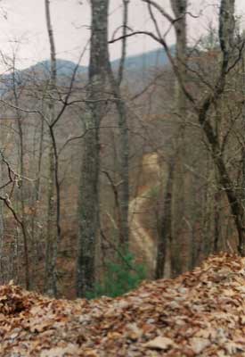 Mulky Gap Road through Cooper's Creek