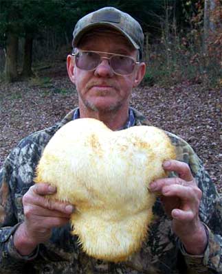 man with rare lion's mane mushroom