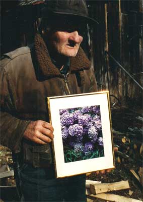 Old man with picture of Hydrangea
