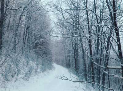 Snow on the dirt road