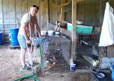 Tony with chickens
