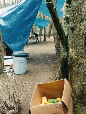 Beer at Trout Camp in the North Georgia Mountains