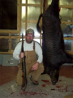 Phil and wild boar